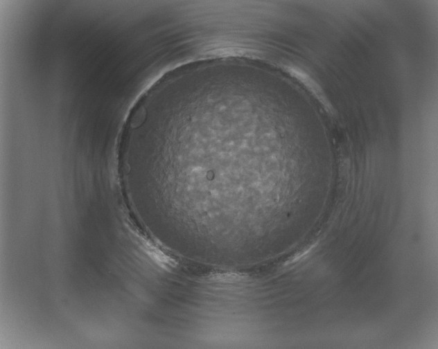 X0000071331023200606301555