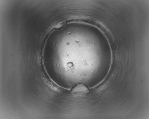 X0000071331025200606301555