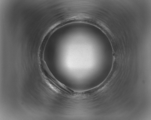 X0000071331026200606301555