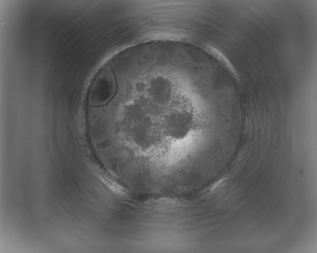 X0000071331027200606301555