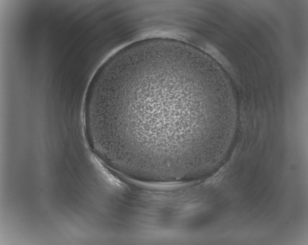 X0000071331028200606301555