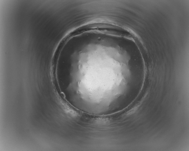 X0000071331029200606301555