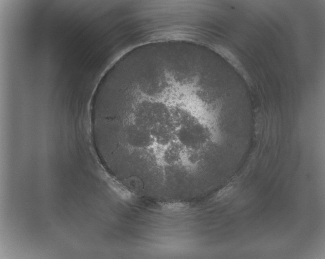 X0000071331031200606301555