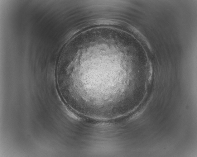 X0000071331033200606301555