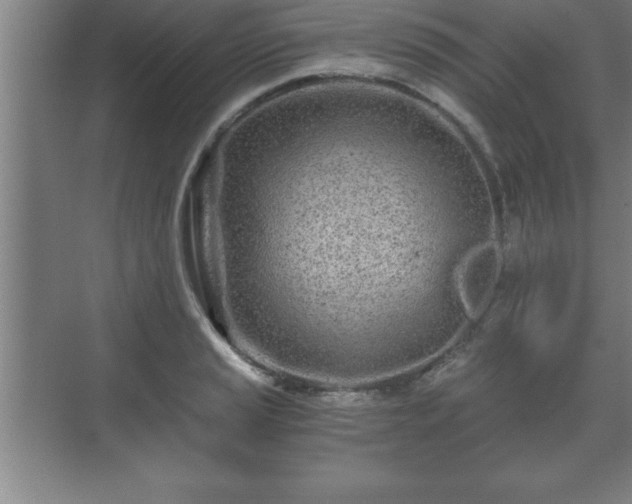 X0000071331037200606301555