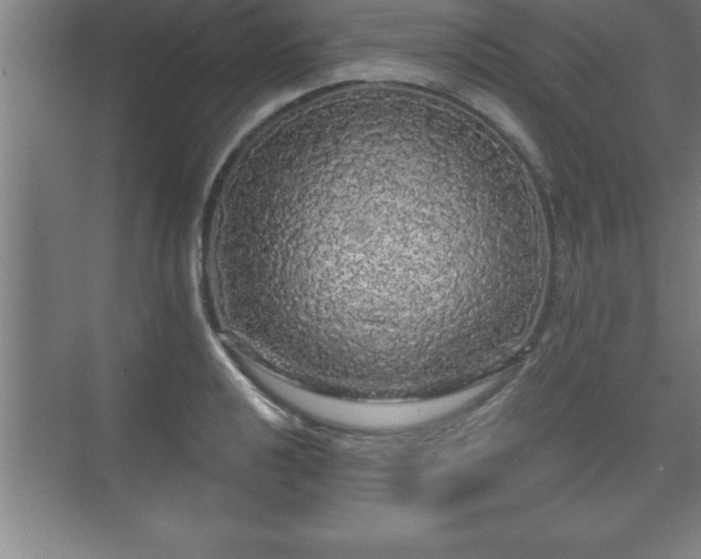 X0000071331040200606301555