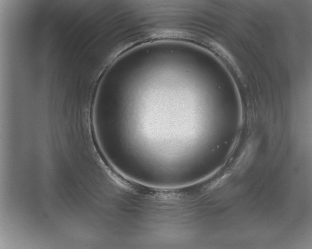 X0000071331041200606301555