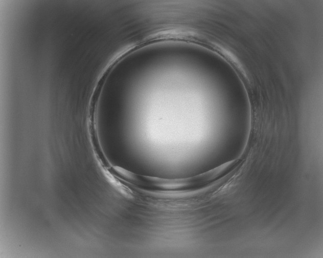 X0000071331042200606301555