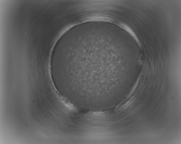 X0000071331043200606301555