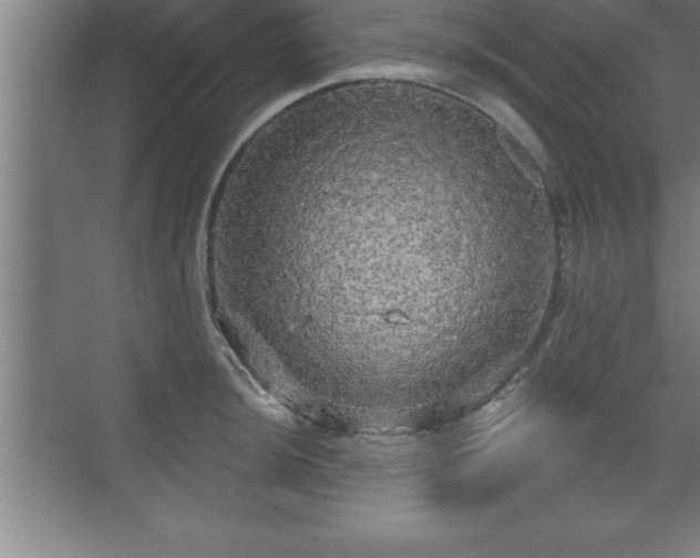 X0000071331044200606301555