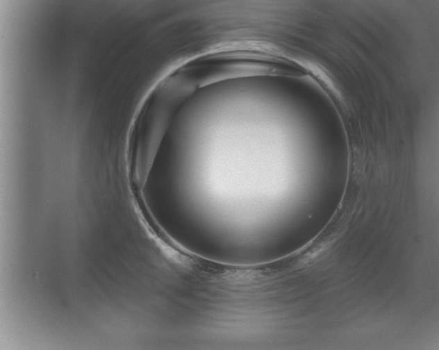 X0000071331046200606301555