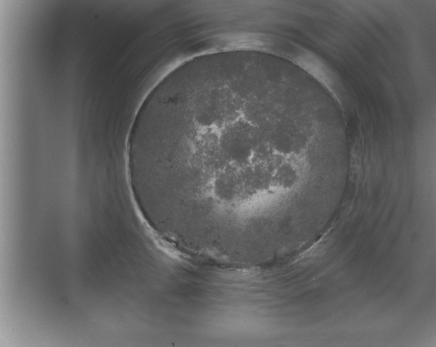 X0000071331047200606301555