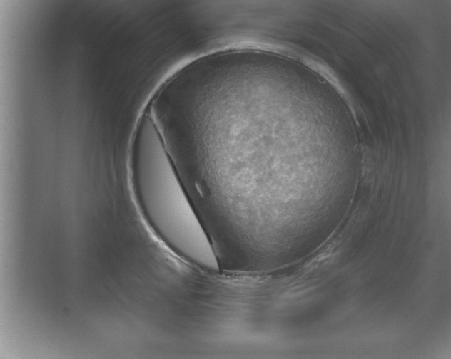 X0000071331048200606301555