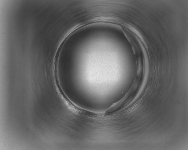 X0000071331050200606301555