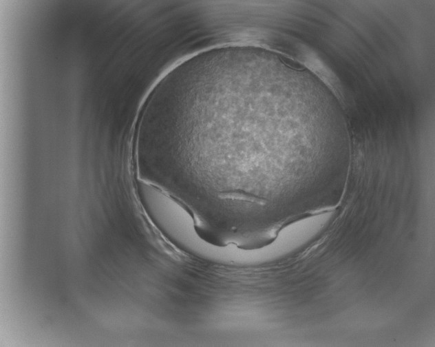 X0000071331052200606301555