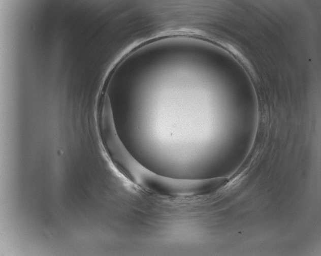 X0000071331054200606301556