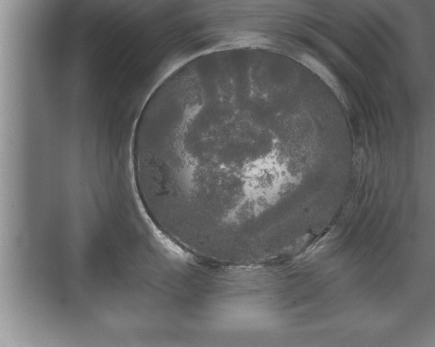 X0000071331055200606301556