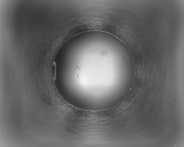 X0000071331057200606301555