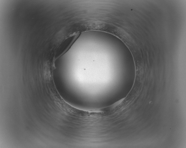 X0000071331058200606301555