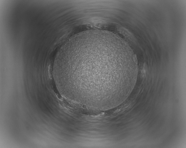 X0000071331060200606301555