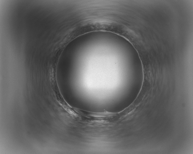 X0000071331061200606301555