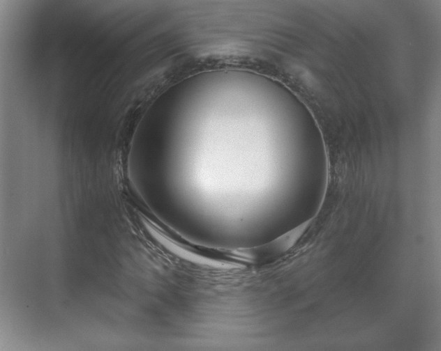 X0000071331062200606301555