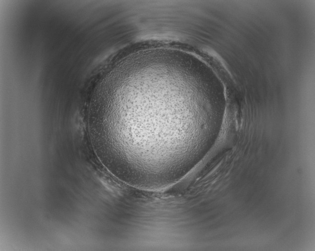 X0000071331064200606301555