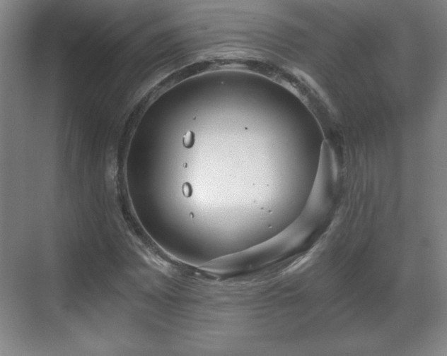 X0000071331065200606301555