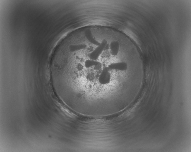 X0000071331067200606301555