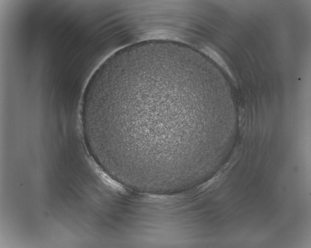 X0000071331068200606301555