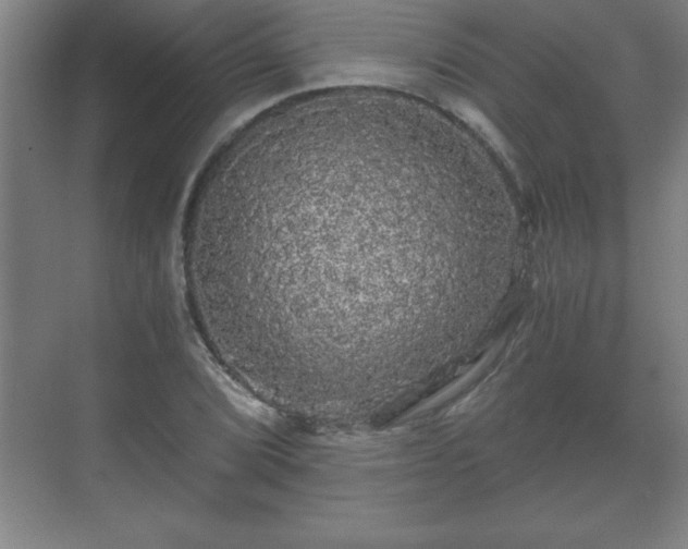 X0000071331072200606301554