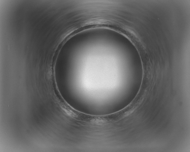 X0000071331073200606301554