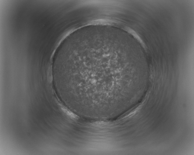 X0000071331075200606301554