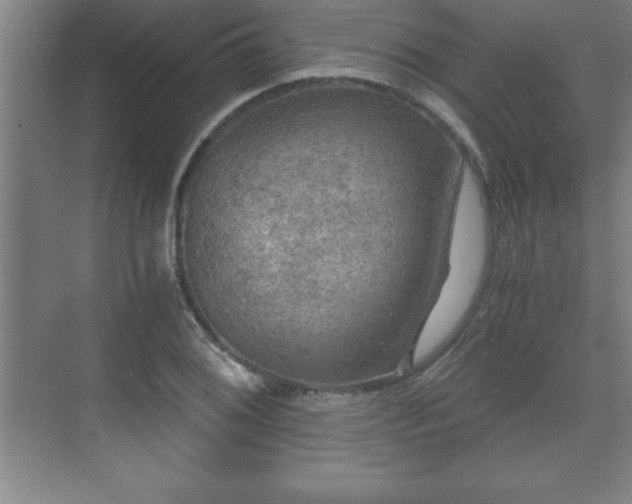 X0000071331076200606301554