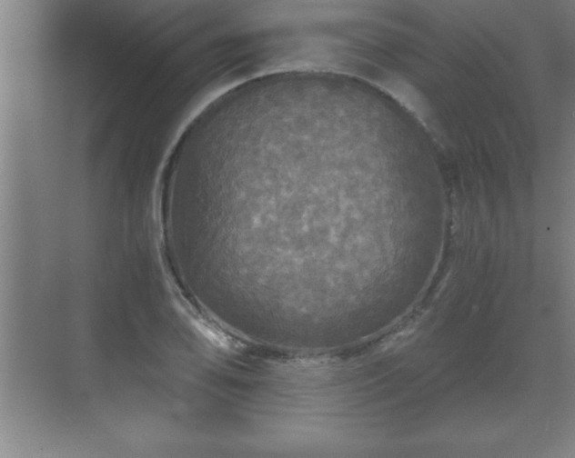 X0000071331078200606301554