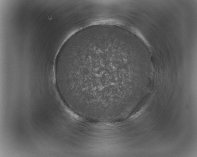 X0000071331079200606301554