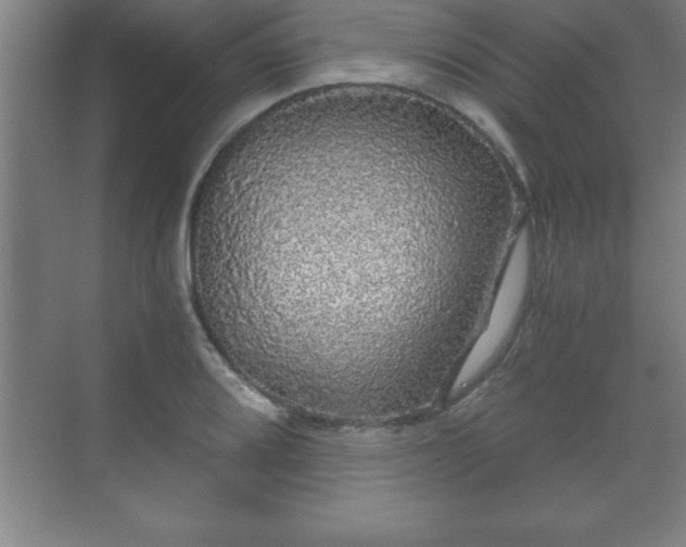 X0000071331080200606301554