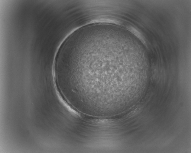 X0000071331084200606301554