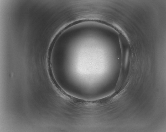 X0000071331085200606301554