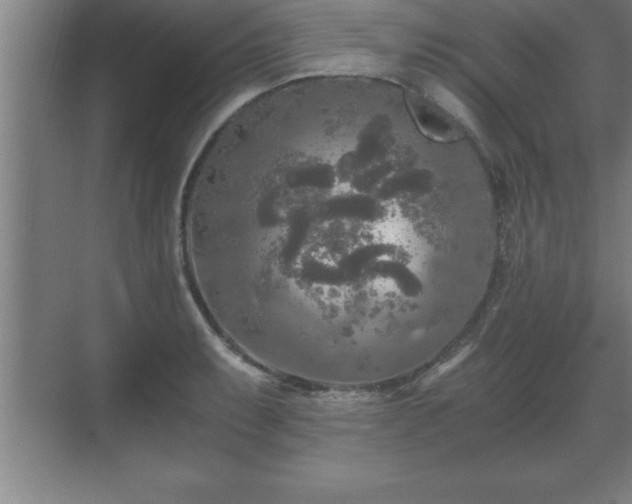 X0000071331087200606301554