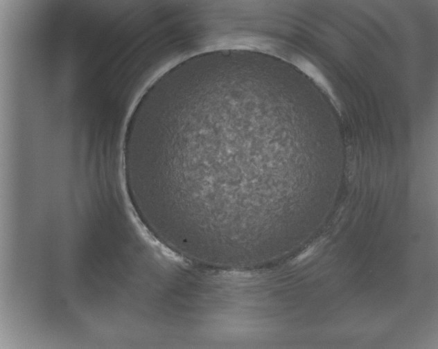 X0000071331088200606301554