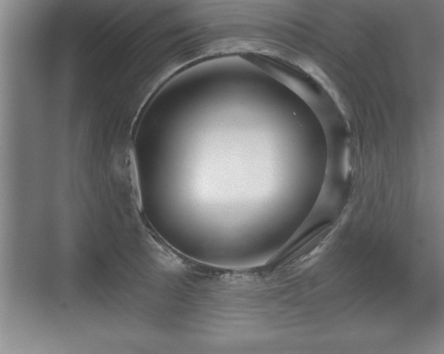 X0000071331089200606301554