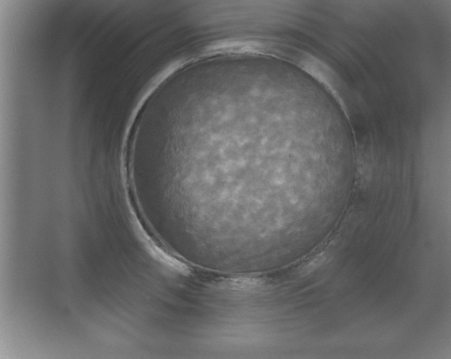 X0000071331090200606301554