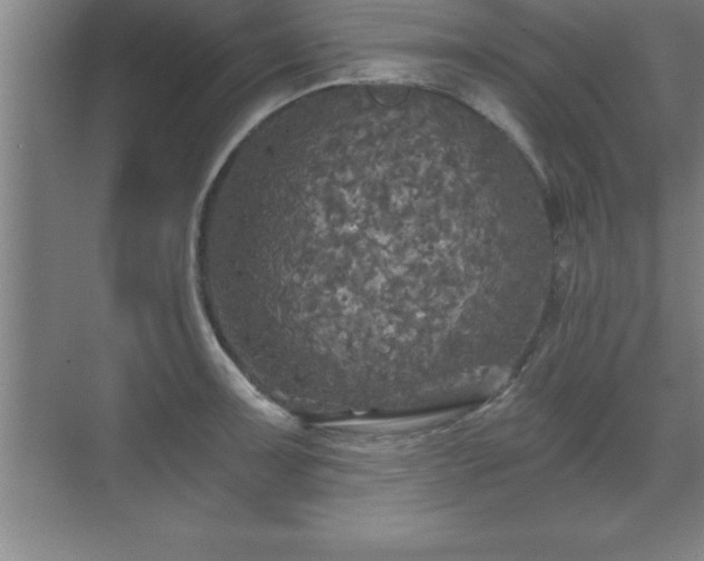 X0000071331091200606301554