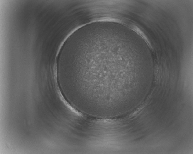 X0000071331092200606301554