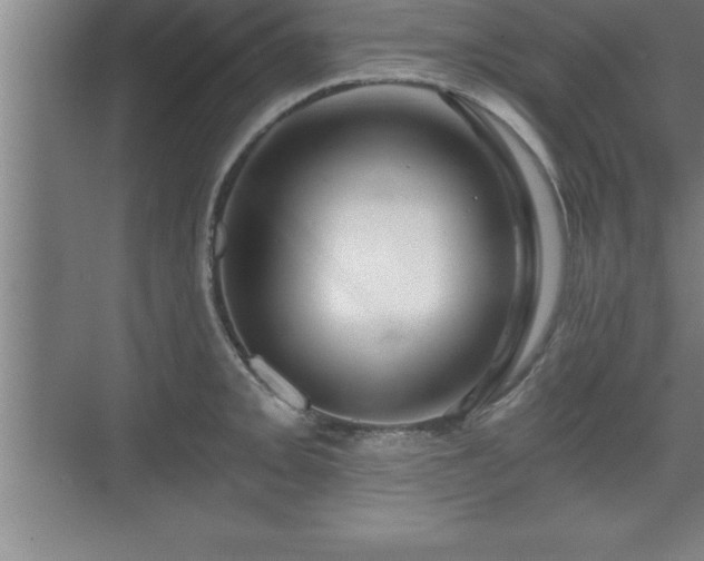 X0000071331093200606301554