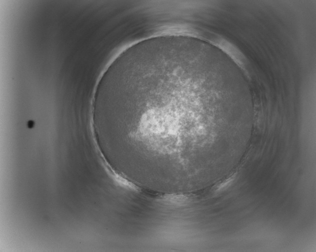 X0000071331094200606301554