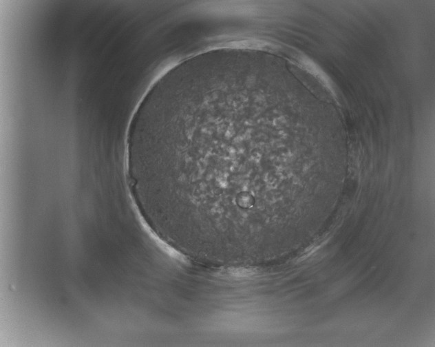 X0000071331095200606301554