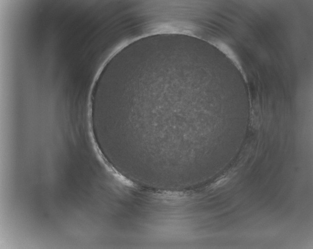 X0000071331096200606301554