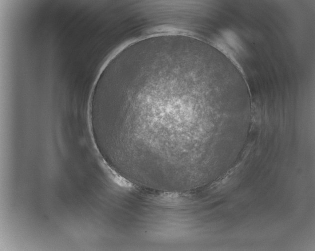 X0000071331098200606301554